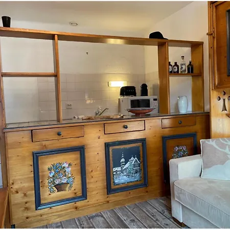 Apartment Authentique Les Roches Fleuries - *
